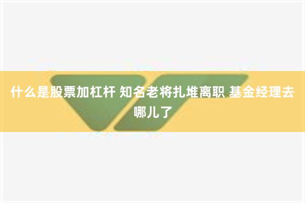 什么是股票加杠杆 知名老将扎堆离职 基金经理去哪儿了