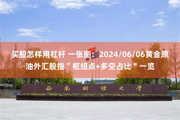 买股怎样用杠杆 一张图：2024/06/06黄金原油外汇股指＂枢纽点+多空占比＂一览