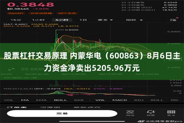 股票杠杆交易原理 内蒙华电（600863）8月6日主力资金净卖出5205.96万元