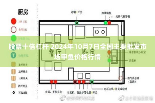 股票十倍杠杆 2024年10月7日全国主要批发市场甲鱼价格行情