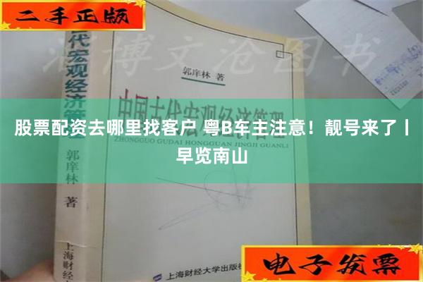 股票配资去哪里找客户 粤B车主注意！靓号来了丨早览南山