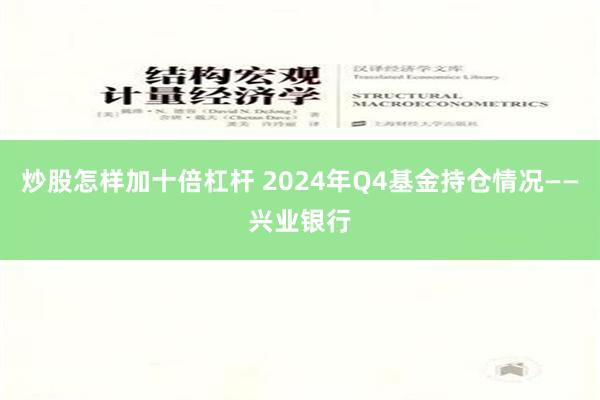 炒股怎样加十倍杠杆 2024年Q4基金持仓情况——兴业银行