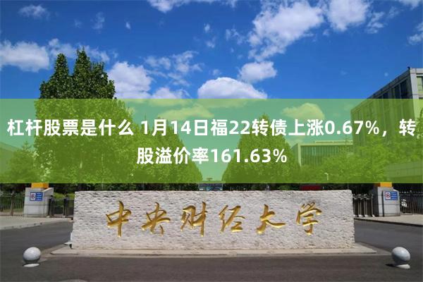 杠杆股票是什么 1月14日福22转债上涨0.67%，转股溢价率161.63%